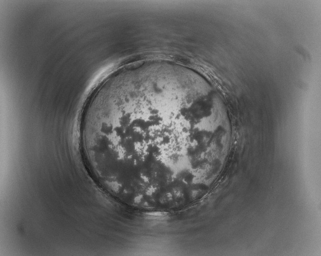 X0000116860053201001051433