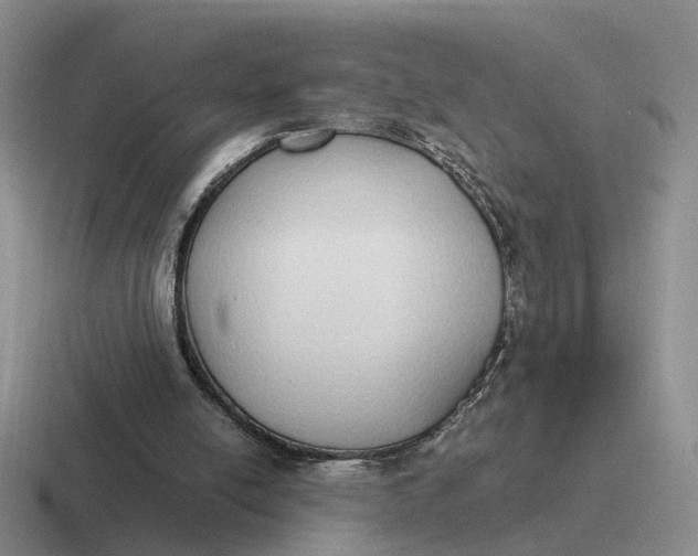 X0000116860054201001051433