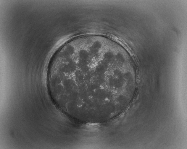 X0000116860055201001051433