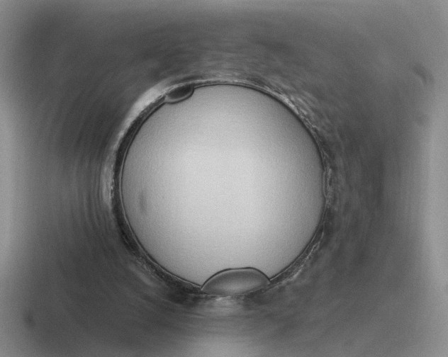 X0000116860056201001051433