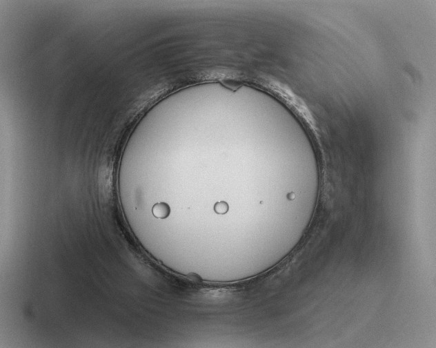 X0000116860057201001051433