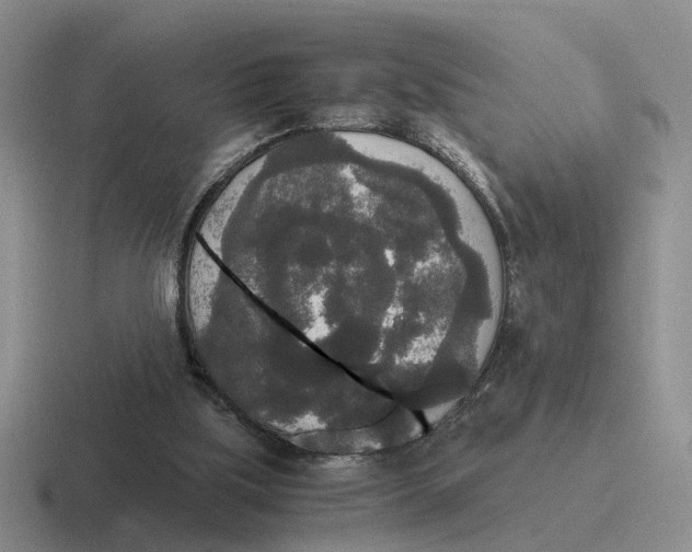 X0000116860059201001051433