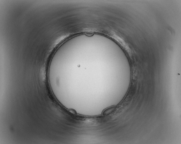 X0000116860060201001051433