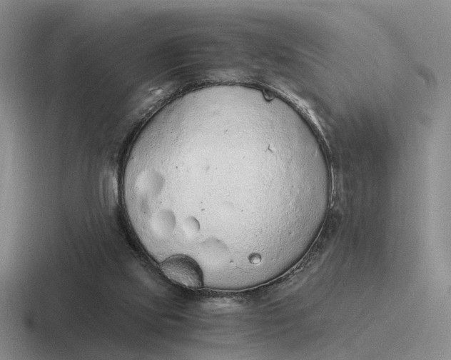 X0000116860061201001051433