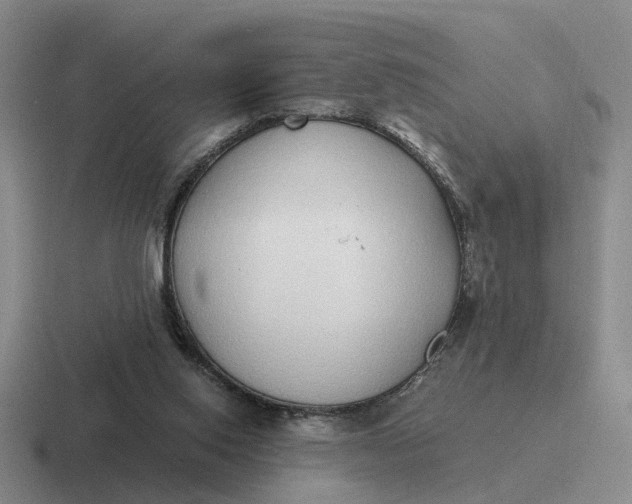 X0000116860062201001051433