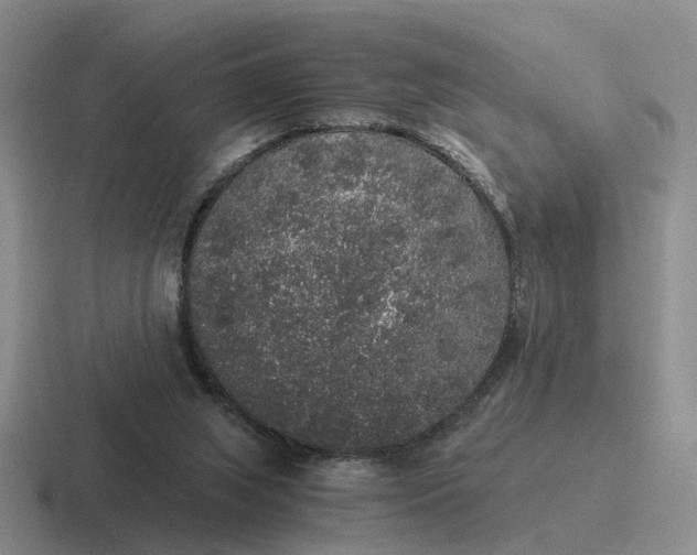 X0000116860063201001051433