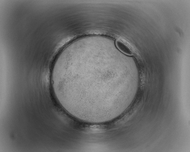 X0000116860064201001051433