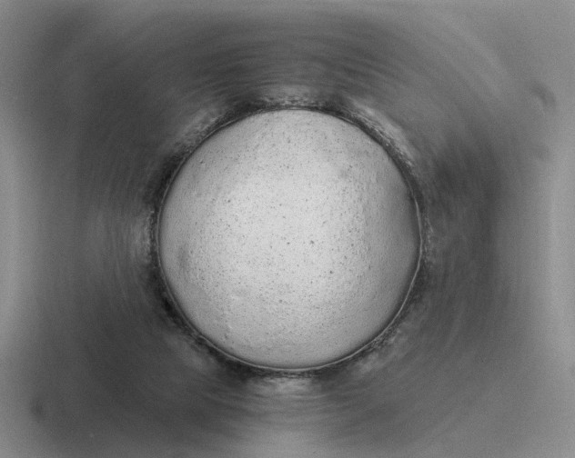 X0000116860065201001051433