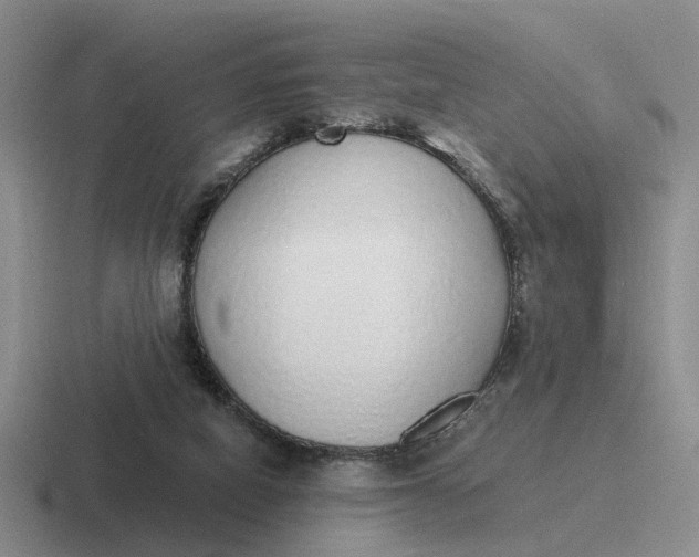 X0000116860066201001051433