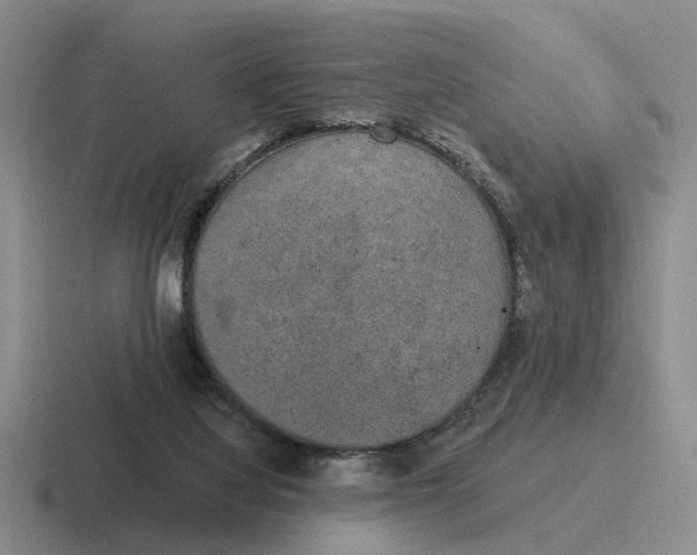 X0000116860068201001051433