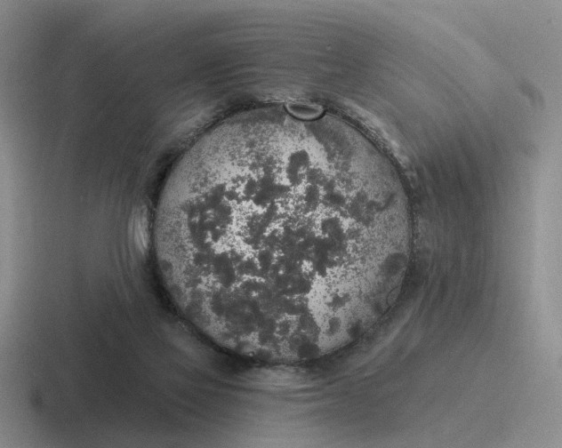 X0000116860069201001051433