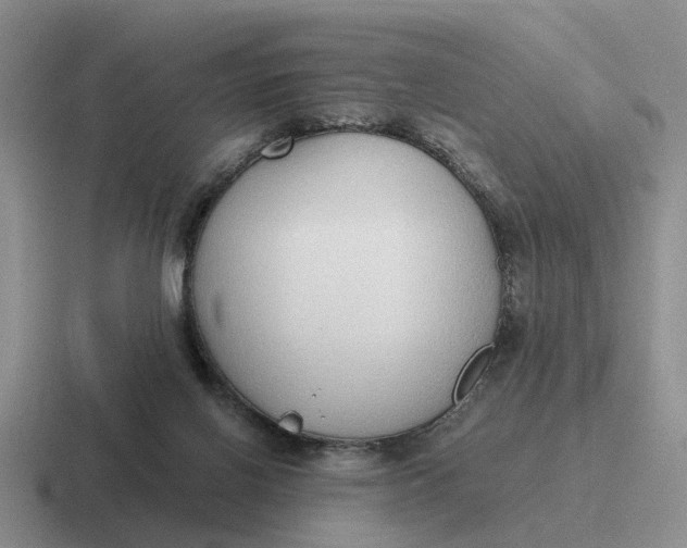 X0000116860070201001051433