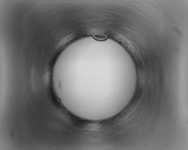 X0000116860071201001051433