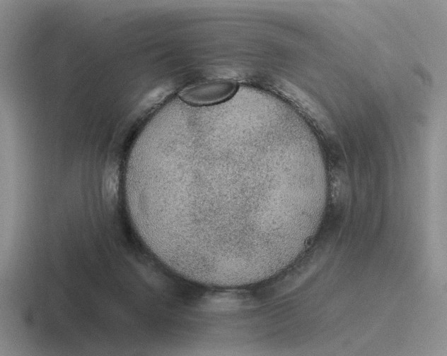 X0000116860072201001051433