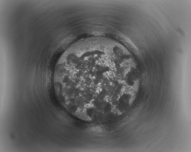 X0000116860073201001051433