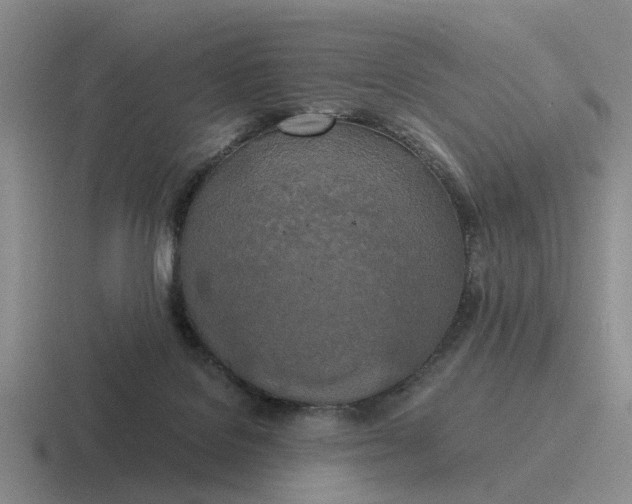 X0000116860076201001051433