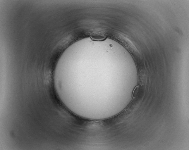 X0000116860077201001051433