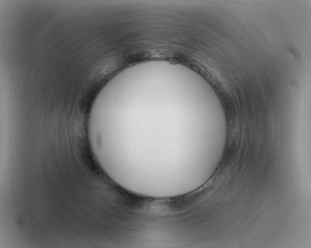 X0000116860078201001051433