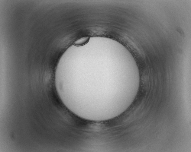 X0000116860079201001051433