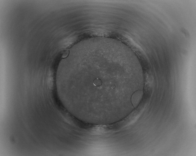 X0000116860080201001051433