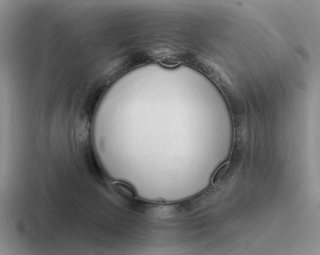 X0000116860081201001051433