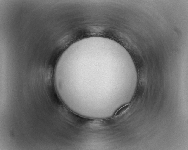 X0000116860082201001051433