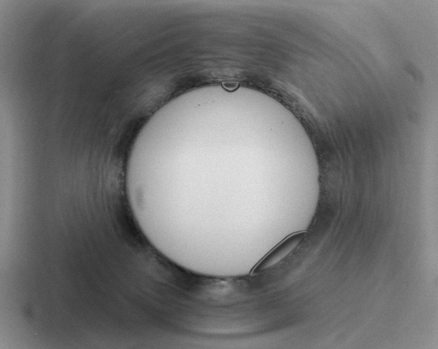 X0000116860083201001051433