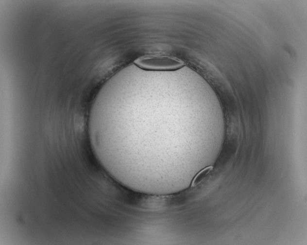 X0000116860084201001051433