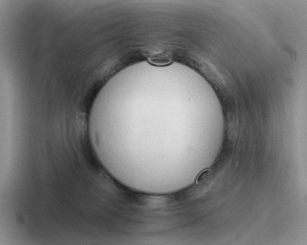 X0000116860085201001051433