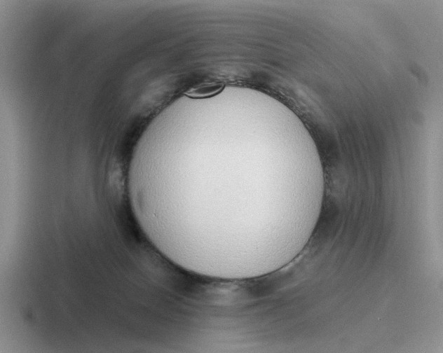 X0000116860086201001051433