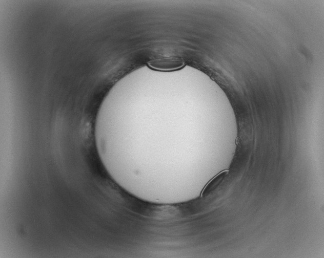 X0000116860087201001051433