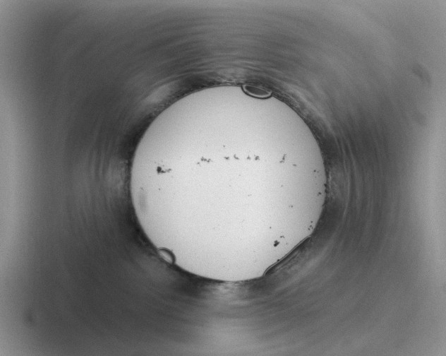 X0000116860092201001051433