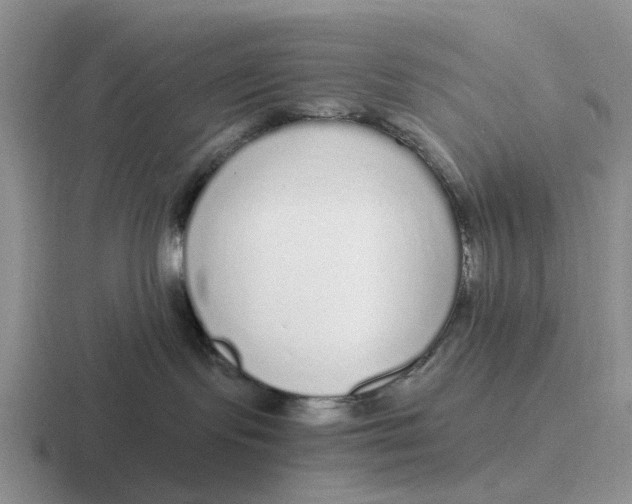 X0000116860095201001051433