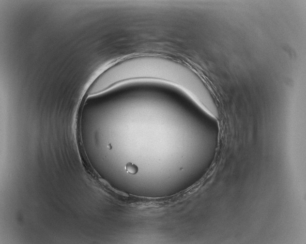 X0000116860100201001051432