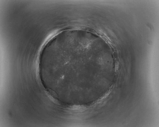 X0000116860101201001051432