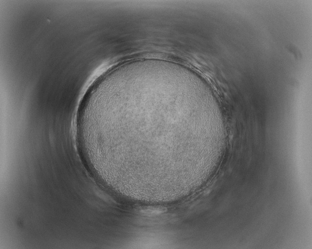 X0000116860102201001051432