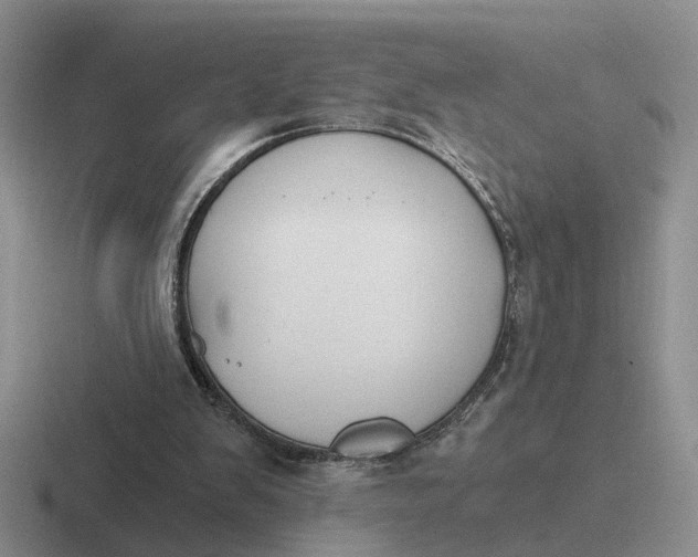 X0000116860103201001051432