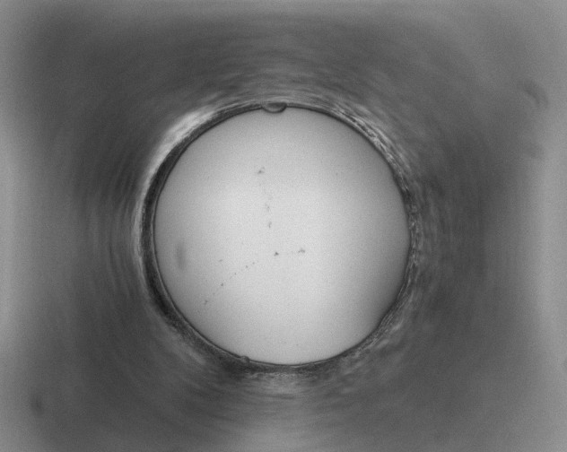 X0000116860104201001051432