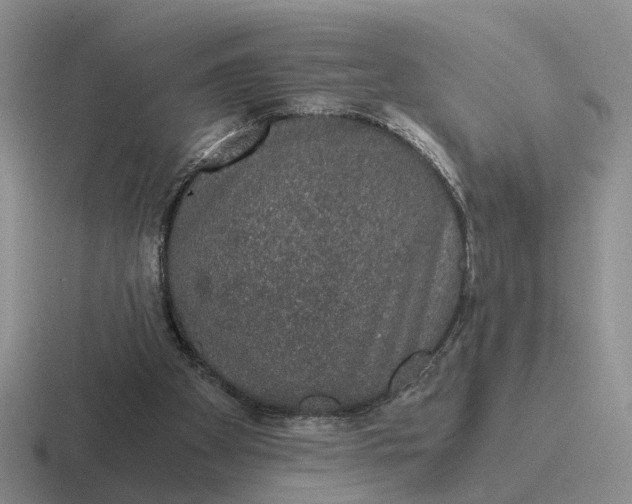 X0000116860105201001051432