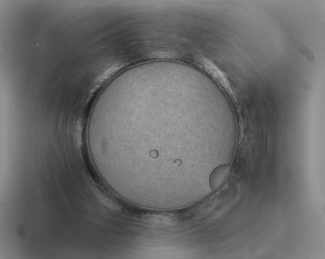 X0000116860106201001051432