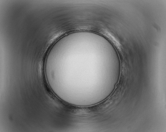 X0000116860107201001051432