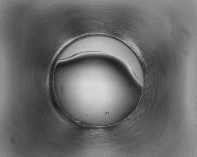 X0000116860108201001051432