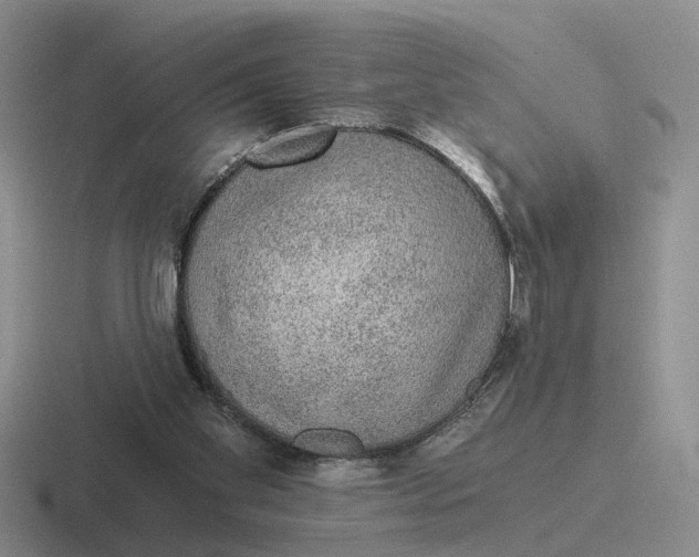 X0000116860109201001051432