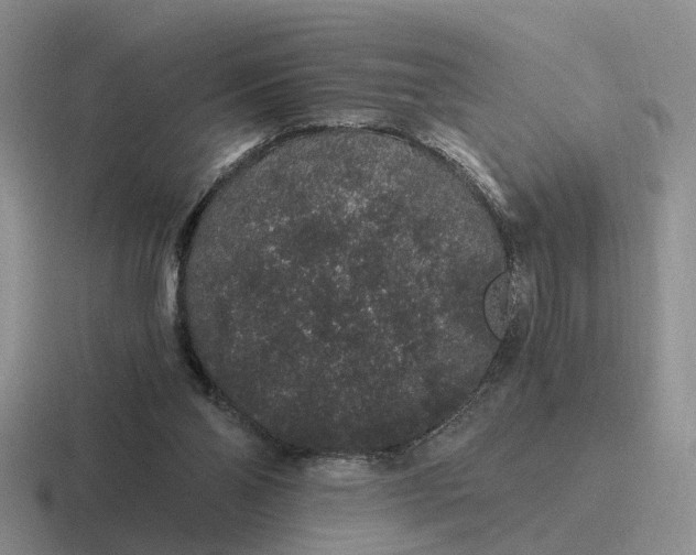 X0000116860110201001051432