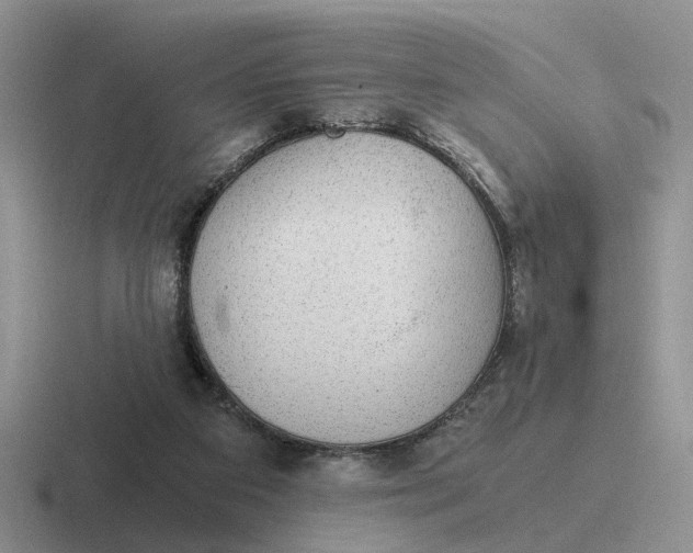 X0000116860113201001051432