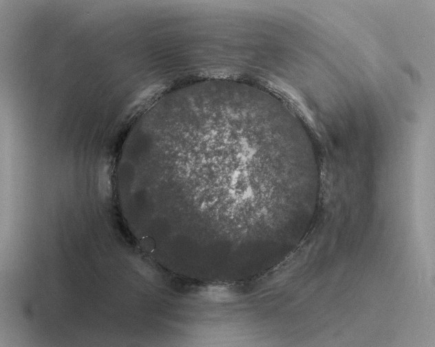 X0000116860114201001051432