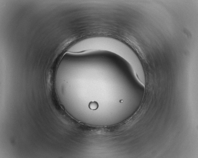 X0000116860116201001051432