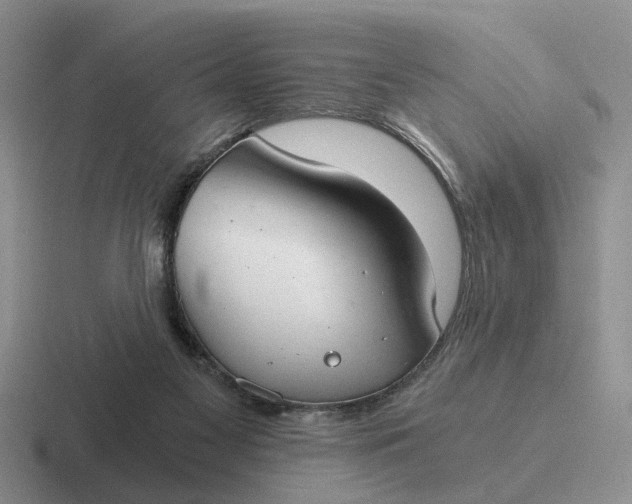 X0000116860117201001051432