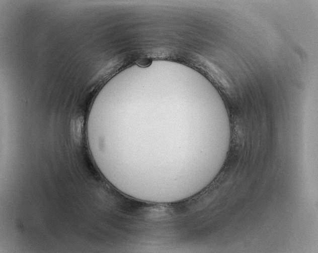 X0000116860118201001051432