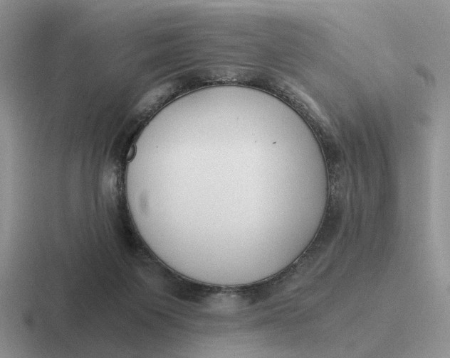 X0000116860119201001051432